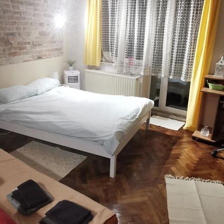 Ultracentral Cluj Napoca,Balcony,Fast Wifi,Parking Buitenkant foto